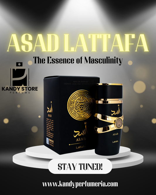 LATTAFA ASAD+PERFUMERO
